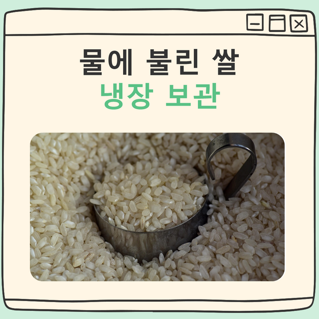 물에 불린 쌀 냉장보관 대표 이미지